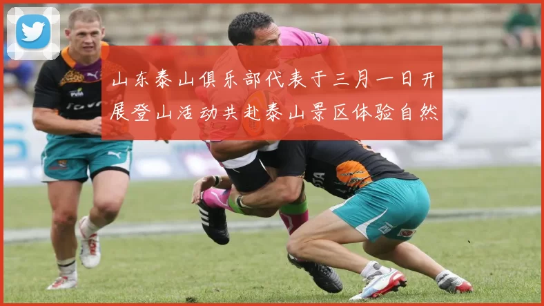 山东泰山俱乐部代表于三月一日开展登山活动共赴泰山景区体验自然之美