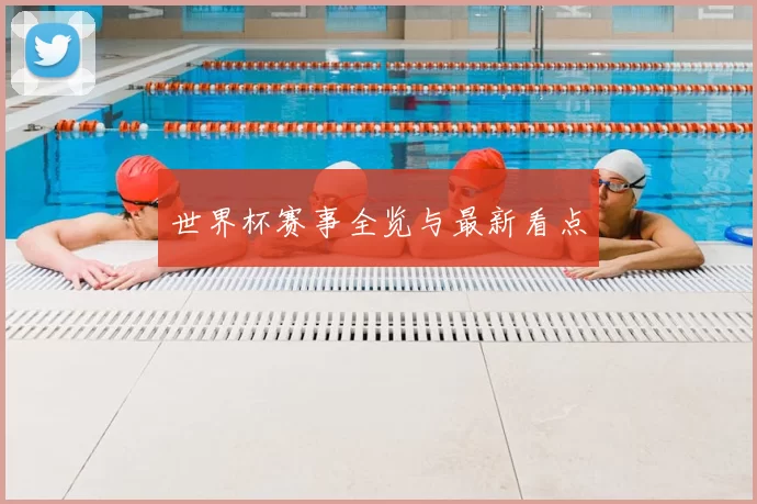 世界杯赛事全览与最新看点