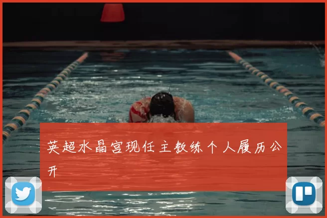 英超水晶宫现任主教练个人履历公开