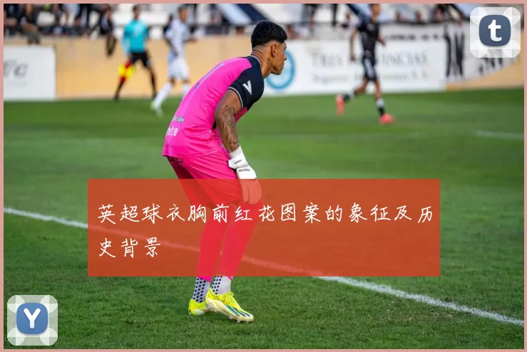 英超球衣胸前红花图案的象征及历史背景