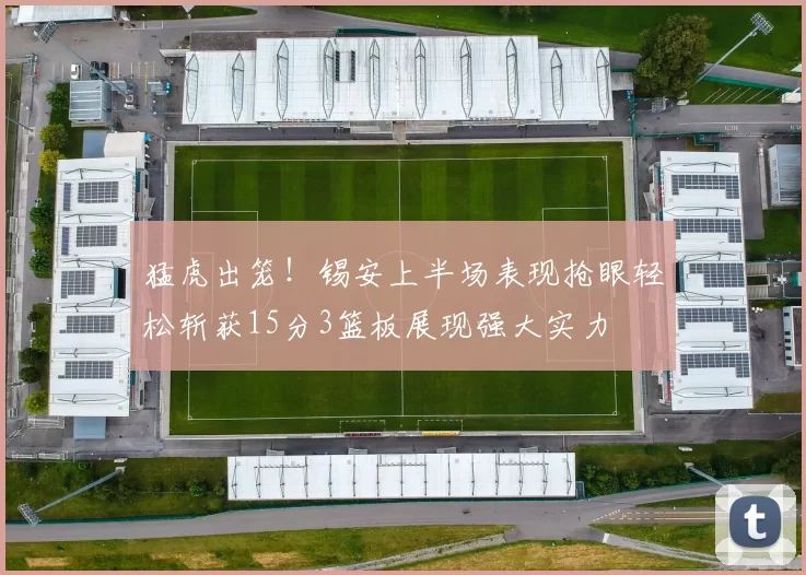 猛虎出笼!锡安上半场表现抢眼轻松斩获15分3篮板展现强大实力