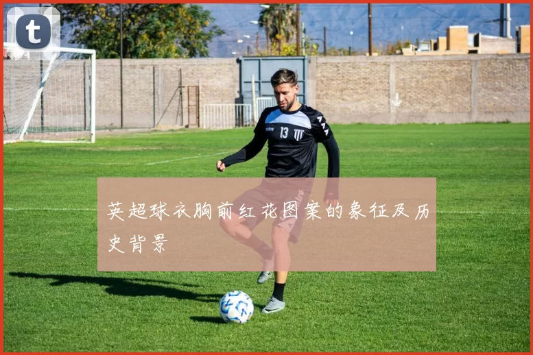 英超球衣胸前红花图案的象征及历史背景