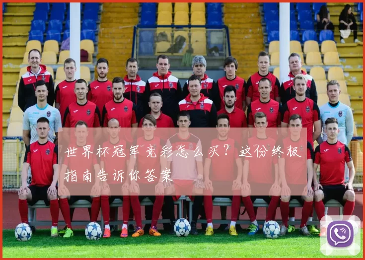 世界杯冠军竞彩怎么买?这份终极指南告诉你答案