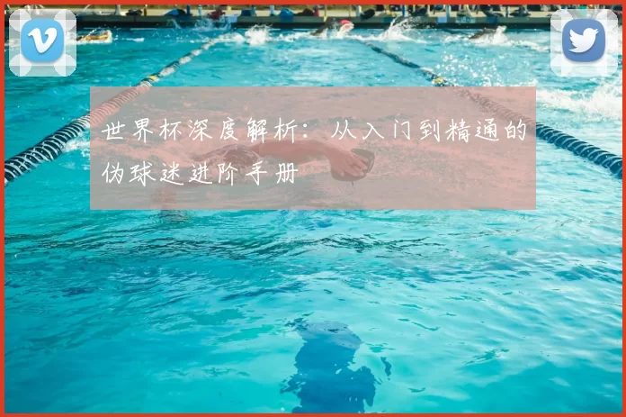 世界杯深度解析:从入门到精通的伪球迷进阶手册
