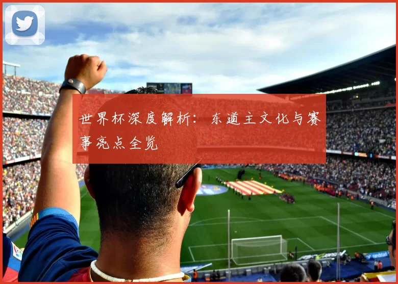 世界杯深度解析：东道主文化与赛事亮点全览