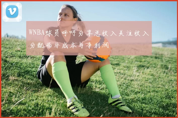 WNBA球员呼吁分享总收入关注收入分配而非成本与净利润