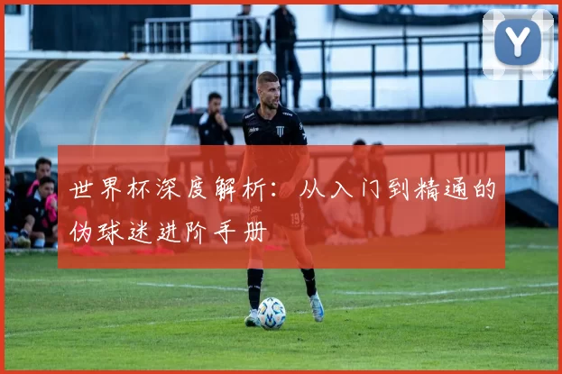 世界杯深度解析：从入门到精通的伪球迷进阶手册