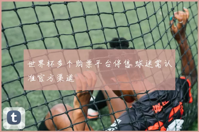 世界杯多个购票平台停售 球迷需认准官方渠道