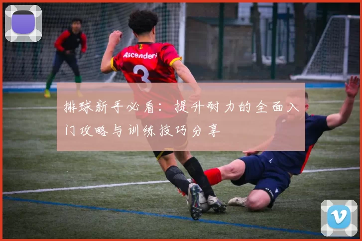 排球新手必看：提升耐力的全面入门攻略与训练技巧分享