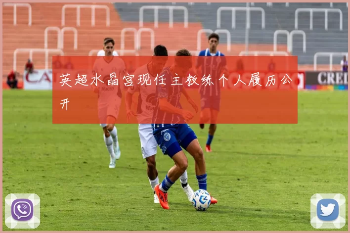 英超水晶宫现任主教练个人履历公开